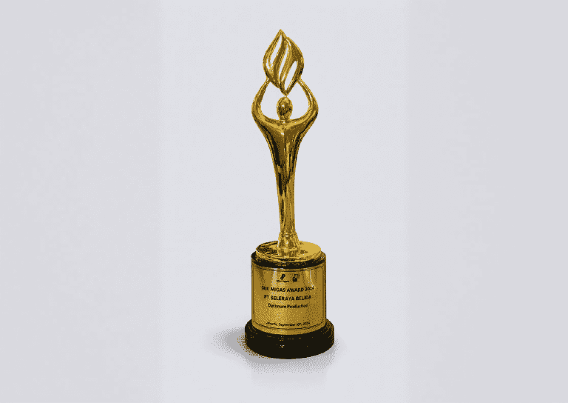 Awards from Badan Pusat Statistik (BPS) “Best Respondents”