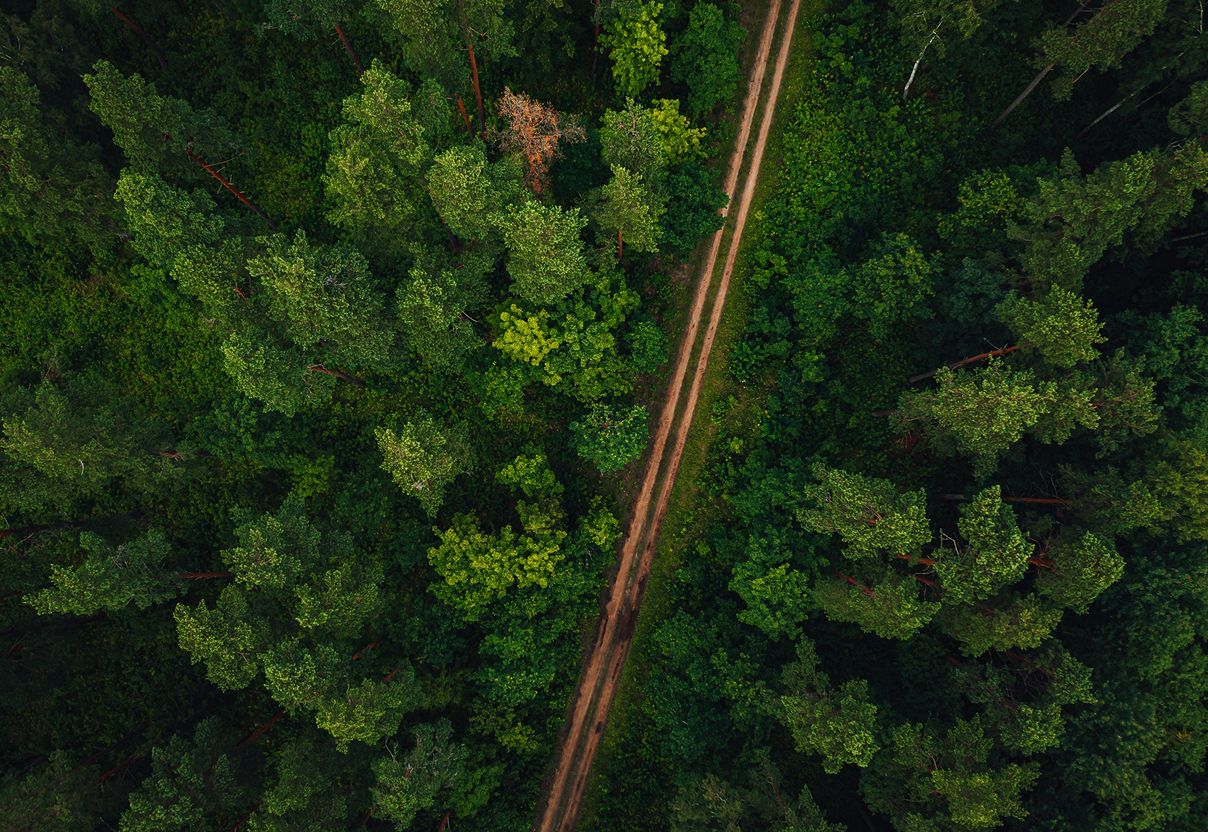 Environment