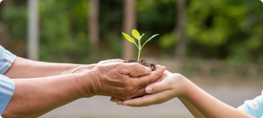 Environmental Protection