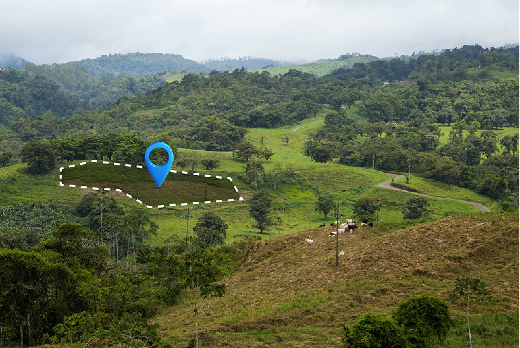 New Potential Uncovered by Sele Raya Belida